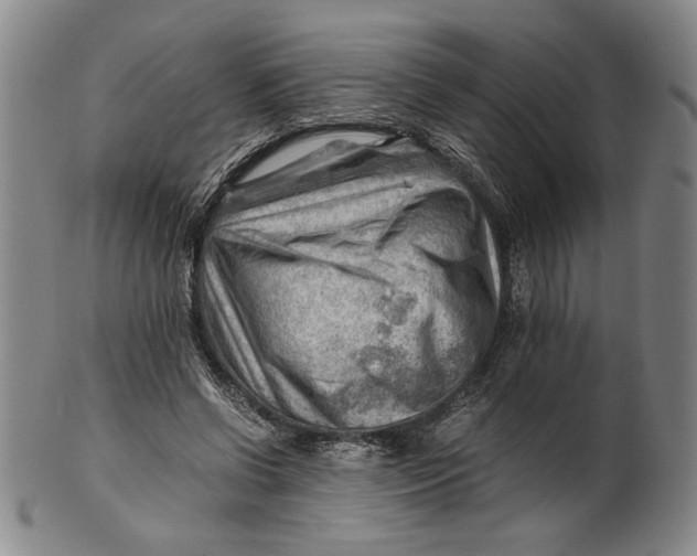 X0000101960542200808081530