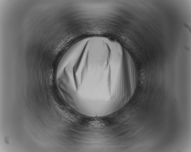 X0000101960544200808081530