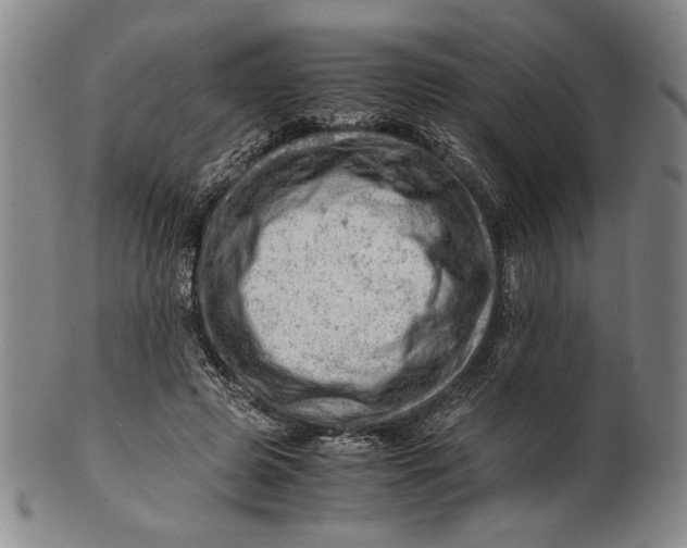 X0000101960545200808081530