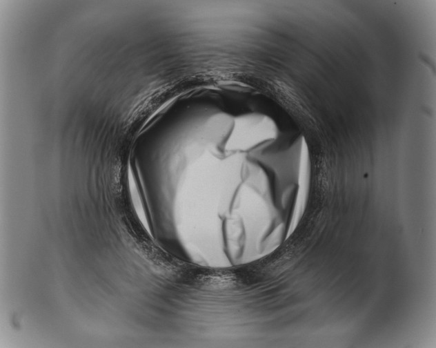 X0000101960548200808081530