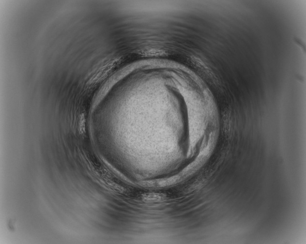 X0000101960549200808081530