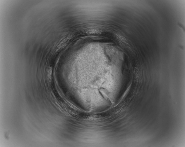 X0000101960550200808081530