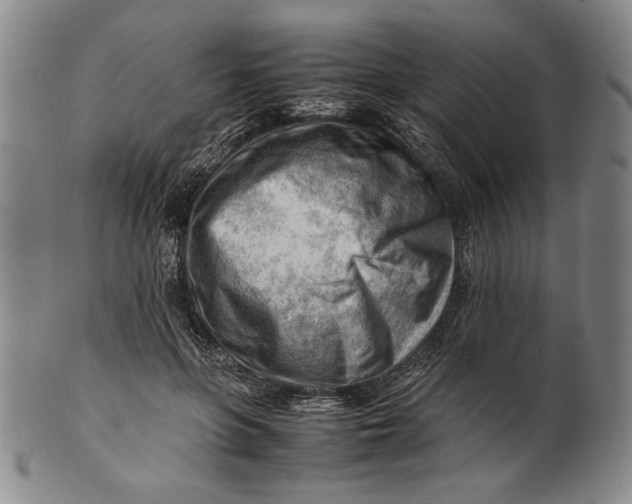 X0000101960551200808081530