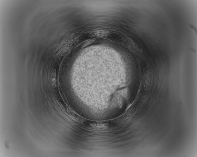 X0000101960553200808081530
