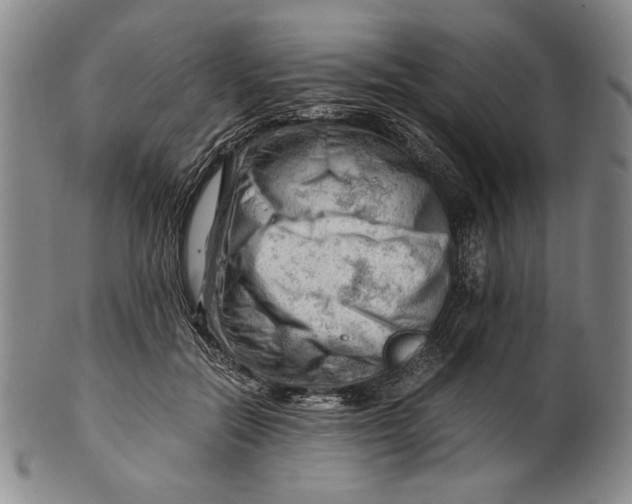 X0000101960554200808081530