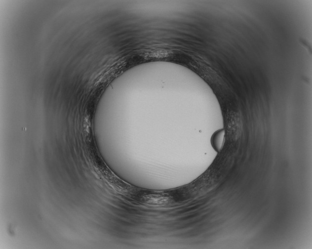 X0000101960555200808081530