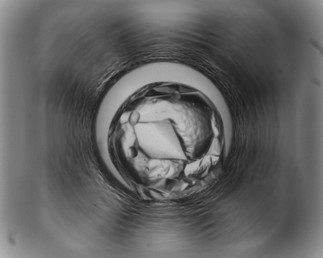 X0000101960556200808081530