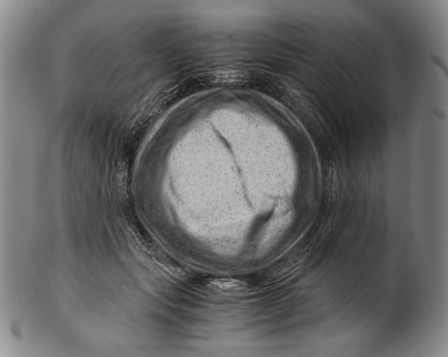 X0000101960557200808081530