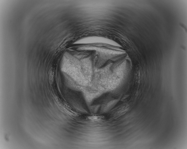 X0000101960558200808081530