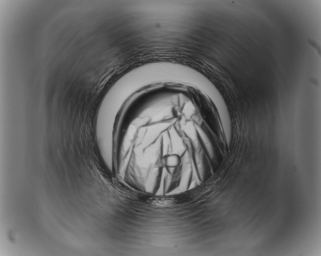 X0000101960560200808081530