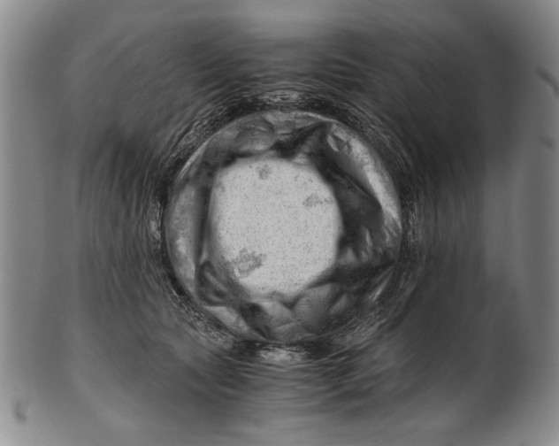 X0000101960561200808081530