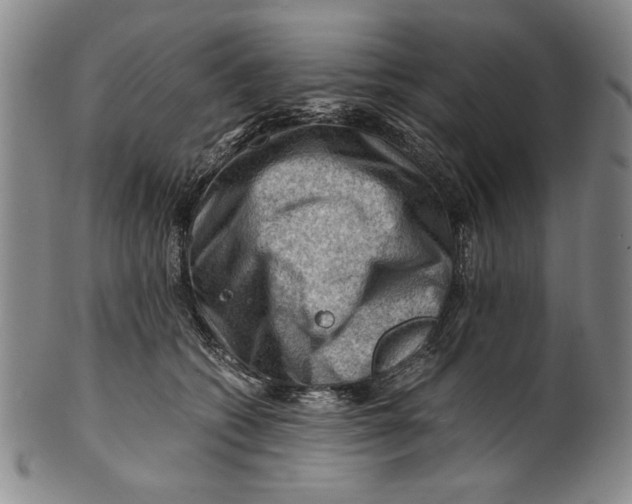 X0000101960562200808081530