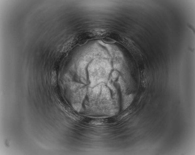 X0000101960563200808081530