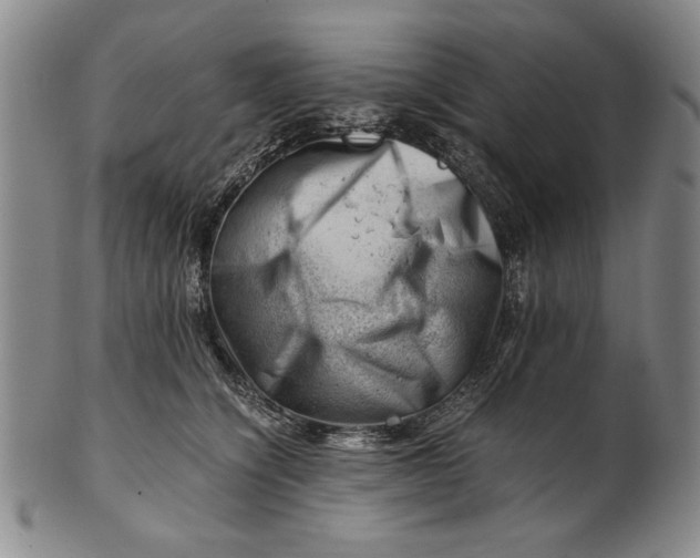X0000101960564200808081531