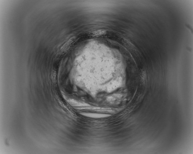 X0000101960565200808081531