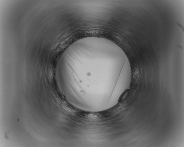 X0000101960566200808081531