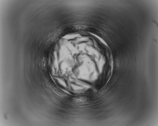 X0000101960567200808081531