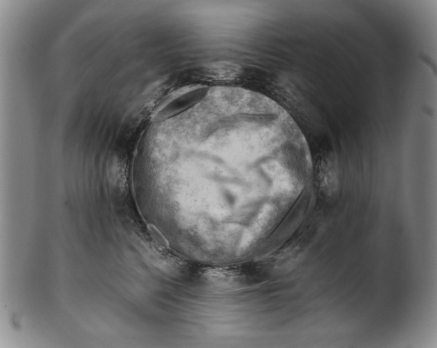 X0000101960568200808081531