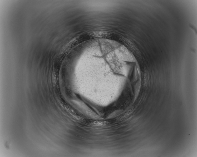 X0000101960569200808081531