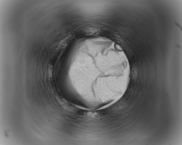 X0000101960570200808081531