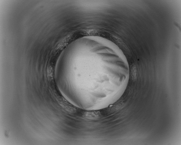 X0000101960571200808081531