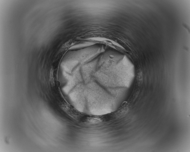 X0000101960572200808081531