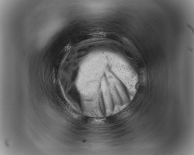 X0000101960573200808081531