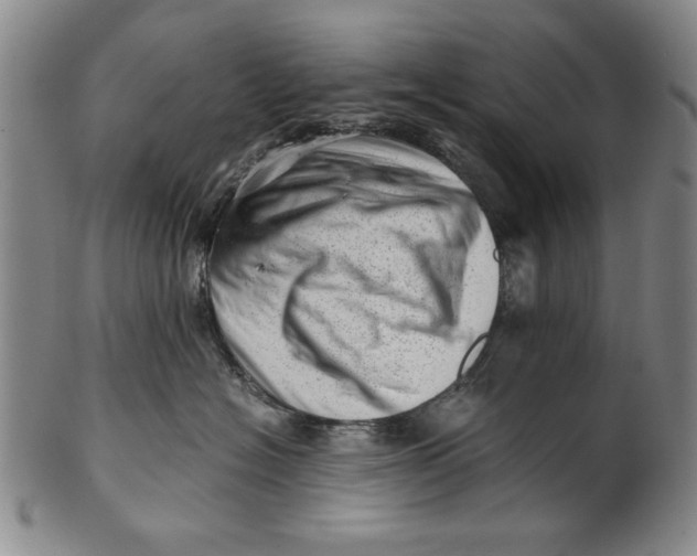 X0000101960574200808081531