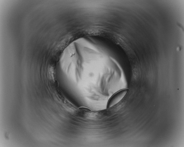 X0000101960575200808081531
