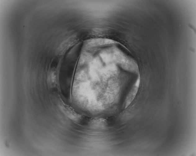 X0000101960576200808081531