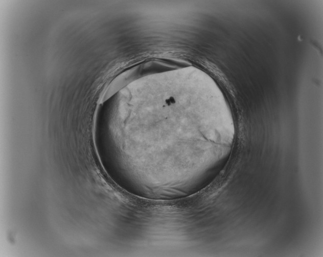 X0000101960577200808081530