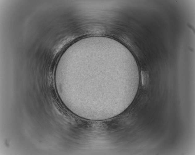 X0000101960579200808081530