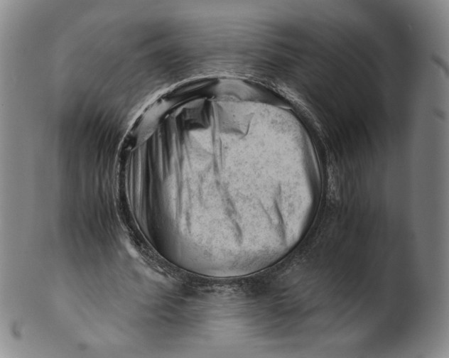 X0000101960580200808081530