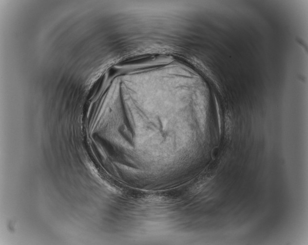 X0000101960581200808081530
