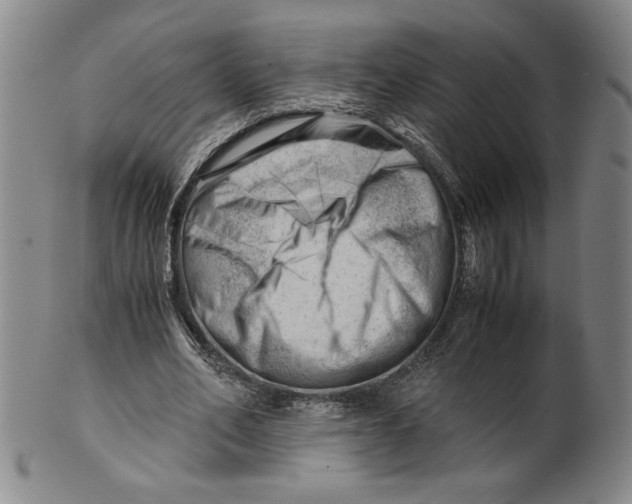 X0000101960582200808081530