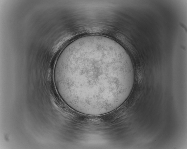 X0000101960583200808081530