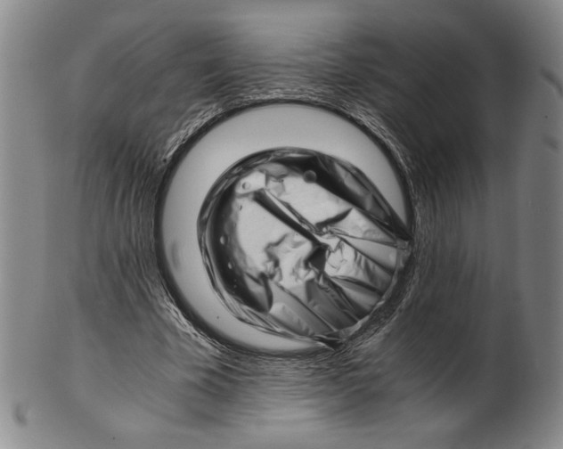 X0000101960585200808081530