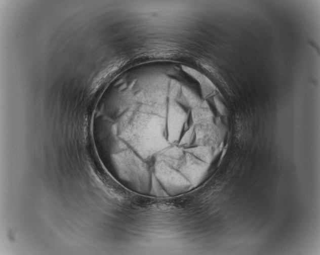 X0000101960586200808081530