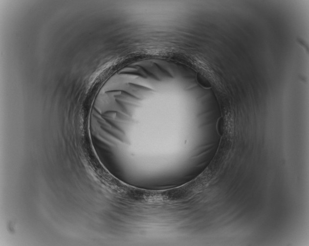 X0000101960587200808081530