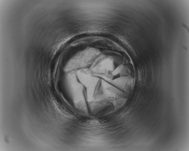 X0000101960588200808081530
