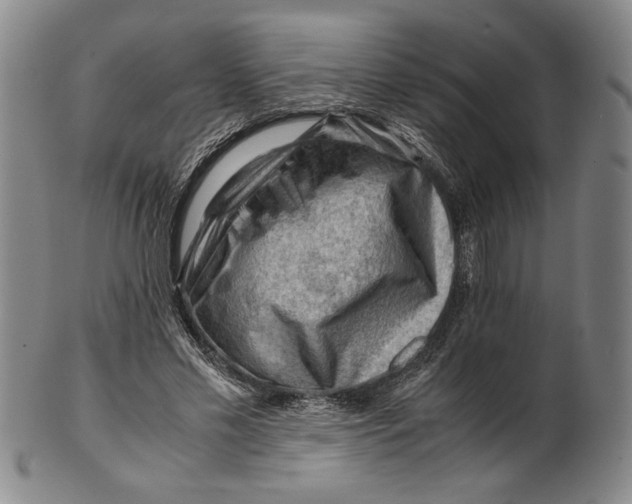 X0000101960589200808081530