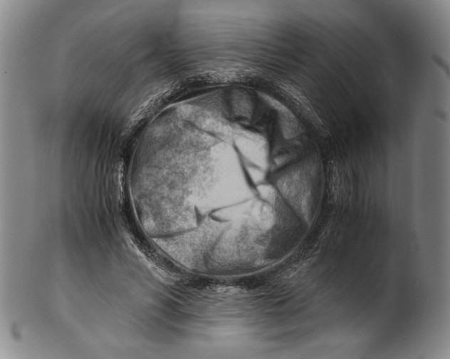 X0000101960590200808081530