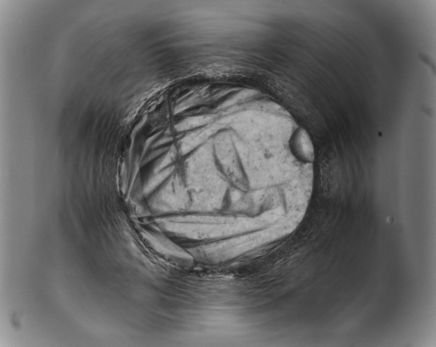 X0000101960592200808081530