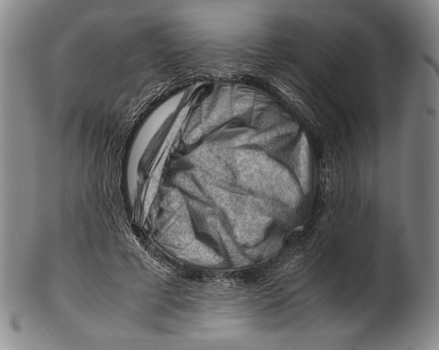 X0000101960593200808081530