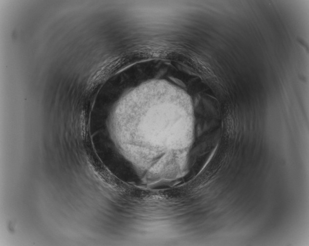 X0000101960594200808081530
