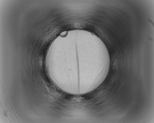 X0000101960595200808081530