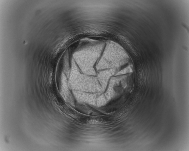 X0000101960596200808081530