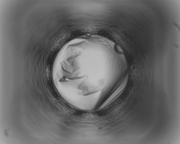 X0000101960597200808081530