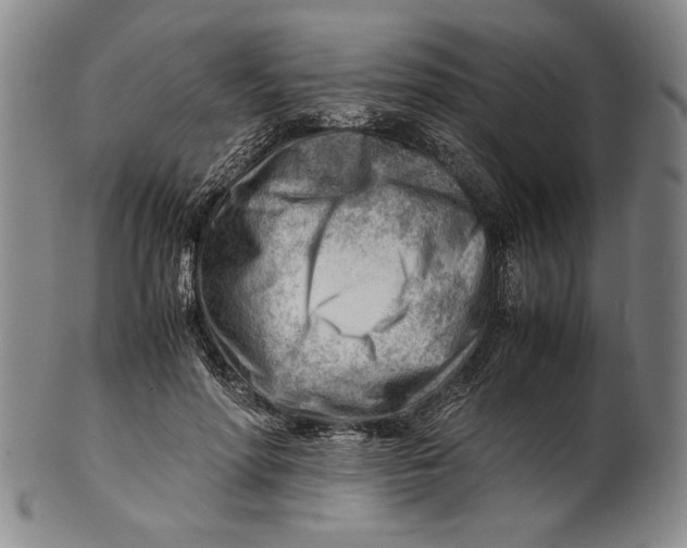 X0000101960598200808081530