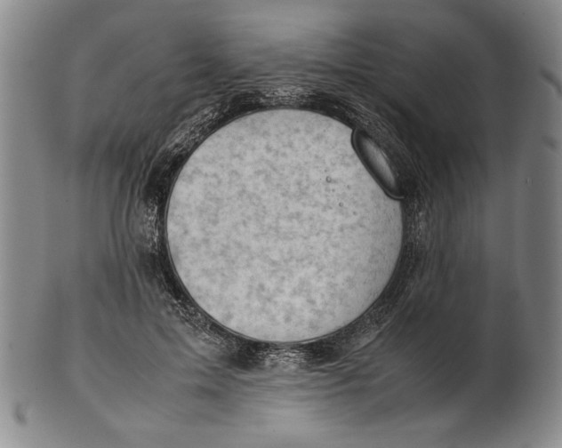X0000101960599200808081530